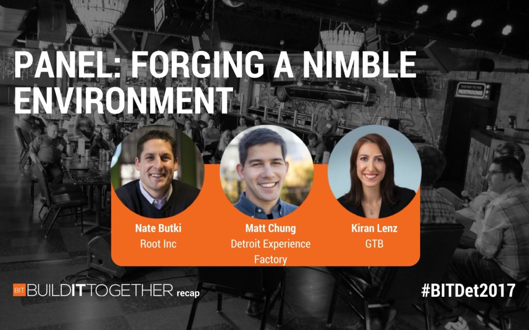 Forging a Nimble Environment: BITDet2017 Panel
